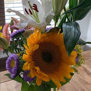 Meet your Posher, Iltsen